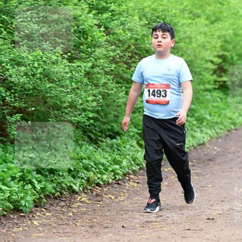 19.04.2026 - Hammer Lauf Dr. Thomas Lammeyer http://msf.ph/oto/9528880 19.04.2026 09:28:55 Laufen 1493 meine-sportfotos.de