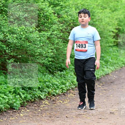 19.04.2026 - Hammer Lauf Dr. Thomas Lammeyer http://msf.ph/oto/9528882 19.04.2026 09:28:55 Laufen 1493 meine-sportfotos.de