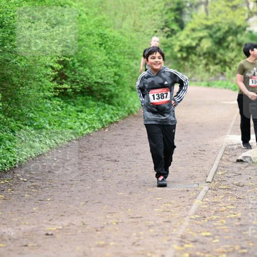 19.04.2026 - Hammer Lauf Dr. Thomas Lammeyer http://msf.ph/oto/9528886 19.04.2026 09:28:56 Laufen 493, 1387, 1516 meine-sportfotos.de