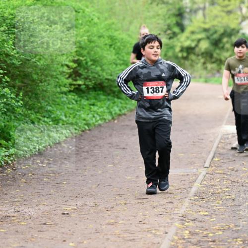 19.04.2026 - Hammer Lauf Dr. Thomas Lammeyer http://msf.ph/oto/9528907 19.04.2026 09:28:58 Laufen 1387, 1518 meine-sportfotos.de