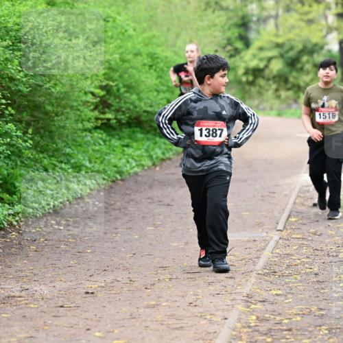 19.04.2026 - Hammer Lauf Dr. Thomas Lammeyer http://msf.ph/oto/9528909 19.04.2026 09:28:58 Laufen 1387, 1516 meine-sportfotos.de
