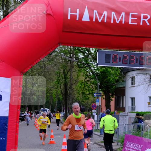 19.04.2026 - Hammer Lauf Tim E. http://msf.ph/oto/9528925 19.04.2026 10:08:59 Ziel 149, 377, 505, 877, 1724 meine-sportfotos.de