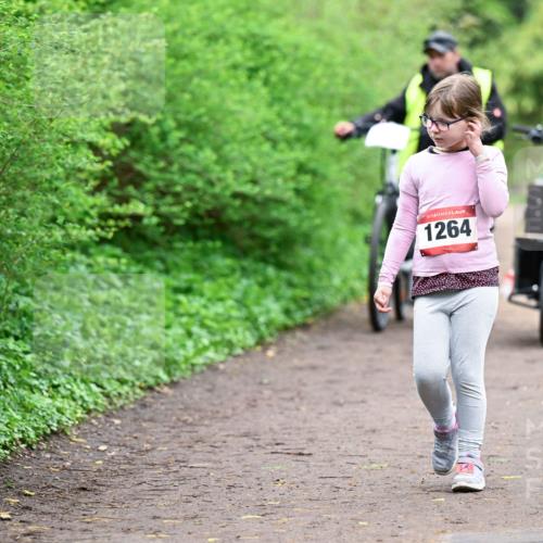 19.04.2026 - Hammer Lauf Dr. Thomas Lammeyer http://msf.ph/oto/9529035 19.04.2026 09:29:58 Laufen 1264 meine-sportfotos.de