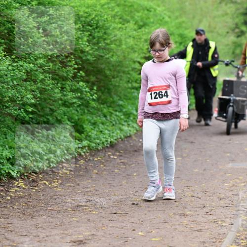 19.04.2026 - Hammer Lauf Dr. Thomas Lammeyer http://msf.ph/oto/9529042 19.04.2026 09:30:01 Laufen 1264 meine-sportfotos.de