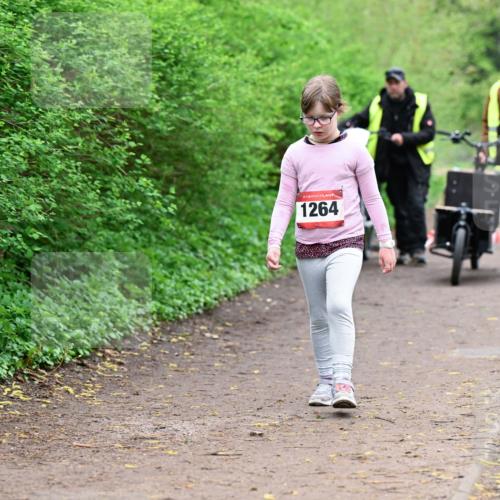 19.04.2026 - Hammer Lauf Dr. Thomas Lammeyer http://msf.ph/oto/9529043 19.04.2026 09:30:01 Laufen 1264 meine-sportfotos.de