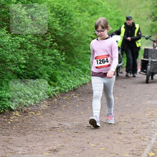 19.04.2026 - Hammer Lauf Dr. Thomas Lammeyer http://msf.ph/oto/9529045 19.04.2026 09:30:01 Laufen 1264 meine-sportfotos.de