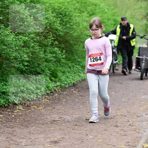 19.04.2026 - Hammer Lauf Dr. Thomas Lammeyer http://msf.ph/oto/9529049 19.04.2026 09:30:01 Laufen 1264 meine-sportfotos.de