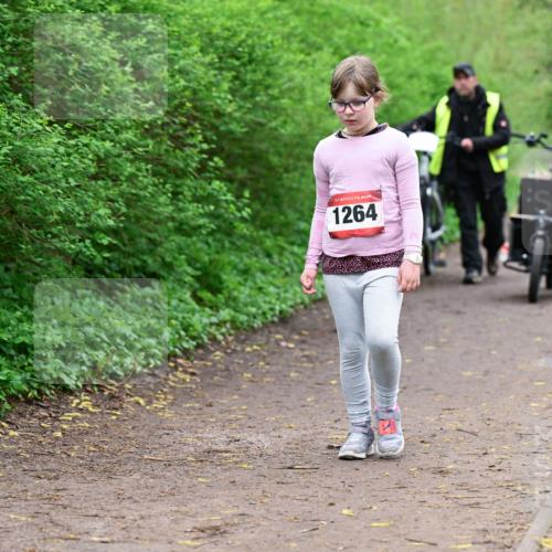 19.04.2026 - Hammer Lauf Dr. Thomas Lammeyer http://msf.ph/oto/9529051 19.04.2026 09:30:02 Laufen 1264 meine-sportfotos.de