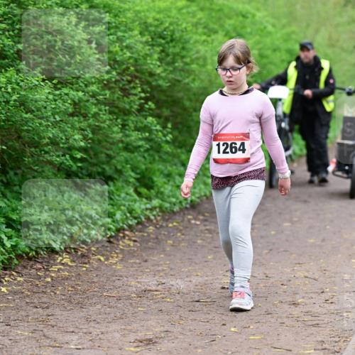 19.04.2026 - Hammer Lauf Dr. Thomas Lammeyer http://msf.ph/oto/9529055 19.04.2026 09:30:02 Laufen 1264 meine-sportfotos.de