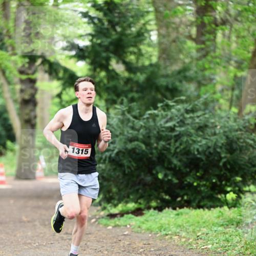 19.04.2026 - Hammer Lauf Dr. Thomas Lammeyer http://msf.ph/oto/9529289 19.04.2026 10:02:01 Laufen 1315 meine-sportfotos.de