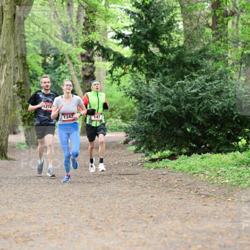 19.04.2026 - Hammer Lauf Dr. Thomas Lammeyer http://msf.ph/oto/9529343 19.04.2026 10:02:27 Laufen 1274, 1343, 147 meine-sportfotos.de