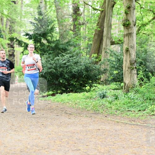 19.04.2026 - Hammer Lauf Dr. Thomas Lammeyer http://msf.ph/oto/9529356 19.04.2026 10:02:28 Laufen 1274, 1343 meine-sportfotos.de