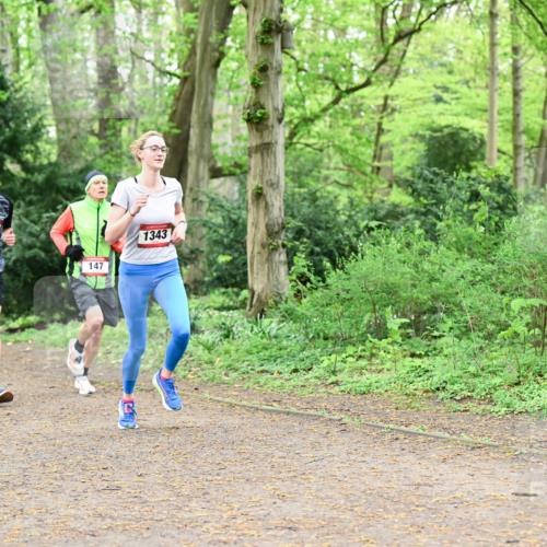 19.04.2026 - Hammer Lauf Dr. Thomas Lammeyer http://msf.ph/oto/9529368 19.04.2026 10:02:29 Laufen 1274, 147, 1343 meine-sportfotos.de