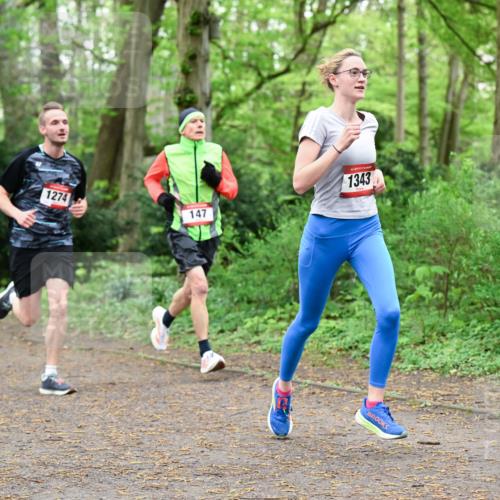 19.04.2026 - Hammer Lauf Dr. Thomas Lammeyer http://msf.ph/oto/9529376 19.04.2026 10:02:30 Laufen 1274, 147, 1343 meine-sportfotos.de