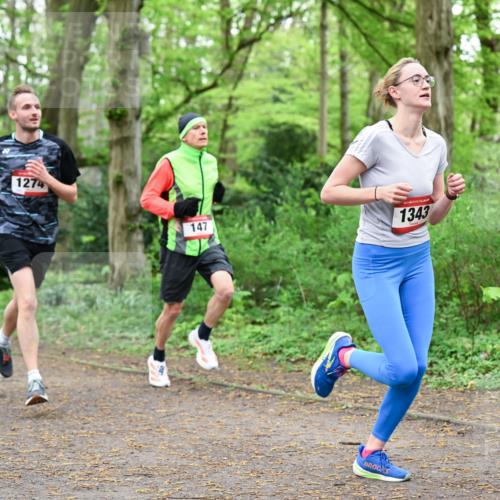 19.04.2026 - Hammer Lauf Dr. Thomas Lammeyer http://msf.ph/oto/9529381 19.04.2026 10:02:30 Laufen 1274, 147, 1343 meine-sportfotos.de