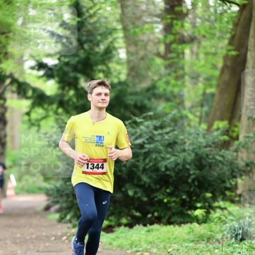 19.04.2026 - Hammer Lauf Dr. Thomas Lammeyer http://msf.ph/oto/9529480 19.04.2026 10:03:08 Laufen 2018, 1344 meine-sportfotos.de