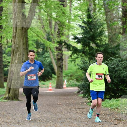 19.04.2026 - Hammer Lauf Dr. Thomas Lammeyer http://msf.ph/oto/9529662 19.04.2026 10:03:43 Laufen 101, 296 meine-sportfotos.de