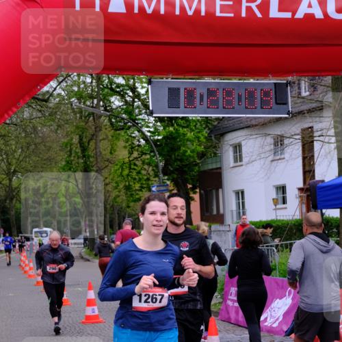 19.04.2026 - Hammer Lauf Tim E. http://msf.ph/oto/9529709 19.04.2026 10:13:17 Ziel 284, 290, 301, 323, 401, 691, 692, 1083, 1267, 1633, 1851, 1896 meine-sportfotos.de