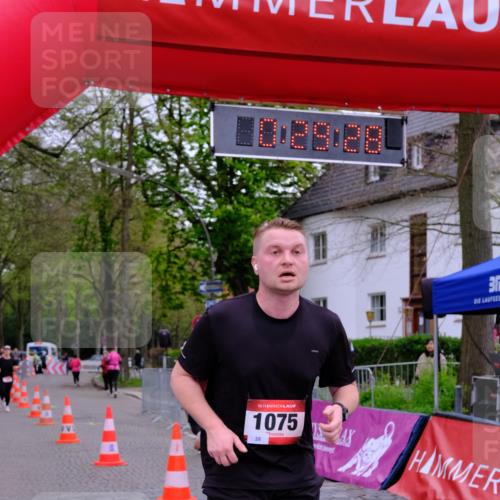 19.04.2026 - Hammer Lauf Tim E. http://msf.ph/oto/9529832 19.04.2026 10:14:36 Ziel 219, 220, 260, 611, 612, 715, 1075, 1091, 1638, 1760 meine-sportfotos.de