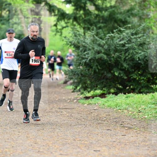 19.04.2026 - Hammer Lauf Dr. Thomas Lammeyer http://msf.ph/oto/9530162 19.04.2026 10:05:39 Laufen 1902 meine-sportfotos.de