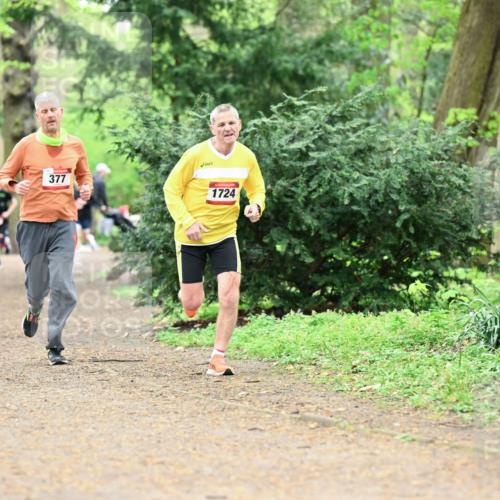 19.04.2026 - Hammer Lauf Dr. Thomas Lammeyer http://msf.ph/oto/9530458 19.04.2026 10:06:22 Laufen 505, 377, 1724 meine-sportfotos.de