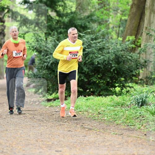 19.04.2026 - Hammer Lauf Dr. Thomas Lammeyer http://msf.ph/oto/9530463 19.04.2026 10:06:23 Laufen 505, 377, 724 meine-sportfotos.de