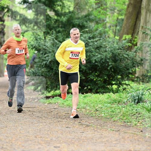 19.04.2026 - Hammer Lauf Dr. Thomas Lammeyer http://msf.ph/oto/9530464 19.04.2026 10:06:23 Laufen 377, 1724 meine-sportfotos.de