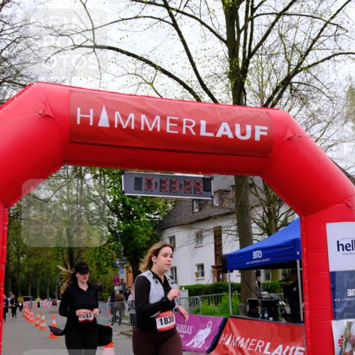 19.04.2026 - Hammer Lauf Tim E. http://msf.ph/oto/9530578 19.04.2026 10:18:37 Ziel 120, 143, 653, 665, 799, 1145, 1830 meine-sportfotos.de