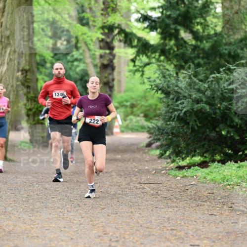 19.04.2026 - Hammer Lauf Dr. Thomas Lammeyer http://msf.ph/oto/9530746 19.04.2026 10:07:05 Laufen 1246, 222 meine-sportfotos.de