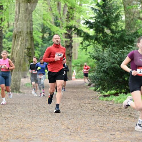 19.04.2026 - Hammer Lauf Dr. Thomas Lammeyer http://msf.ph/oto/9530760 19.04.2026 10:07:07 Laufen 879, 1246, 222 meine-sportfotos.de