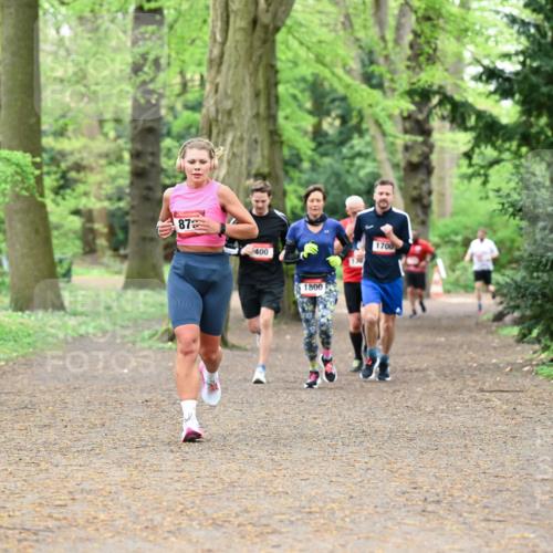 19.04.2026 - Hammer Lauf Dr. Thomas Lammeyer http://msf.ph/oto/9530779 19.04.2026 10:07:09 Laufen 400, 1800, 1700, 1246 meine-sportfotos.de