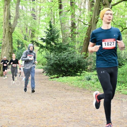 19.04.2026 - Hammer Lauf Dr. Thomas Lammeyer http://msf.ph/oto/9531123 19.04.2026 10:08:00 Laufen 405, 166, 1827 meine-sportfotos.de