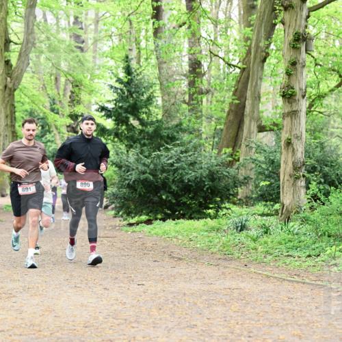 19.04.2026 - Hammer Lauf Dr. Thomas Lammeyer http://msf.ph/oto/9531743 19.04.2026 10:09:40 Laufen 891, 890 meine-sportfotos.de