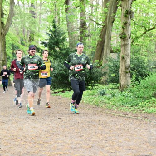 19.04.2026 - Hammer Lauf Dr. Thomas Lammeyer http://msf.ph/oto/9531916 19.04.2026 10:10:05 Laufen 329, 1900, 320 meine-sportfotos.de