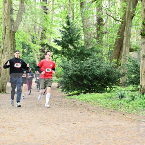 19.04.2026 - Hammer Lauf Dr. Thomas Lammeyer http://msf.ph/oto/9531942 19.04.2026 10:10:09 Laufen 995, 896, 994 meine-sportfotos.de
