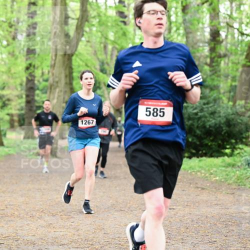 19.04.2026 - Hammer Lauf Dr. Thomas Lammeyer http://msf.ph/oto/9532024 19.04.2026 10:10:18 Laufen 1267, 585, 165 meine-sportfotos.de