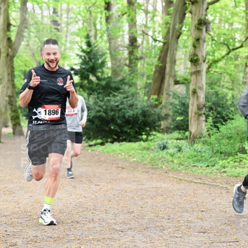 19.04.2026 - Hammer Lauf Dr. Thomas Lammeyer http://msf.ph/oto/9532056 19.04.2026 10:10:22 Laufen 1896, 323, 290 meine-sportfotos.de