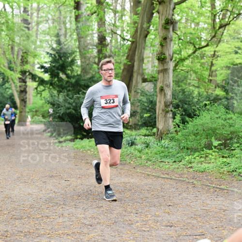 19.04.2026 - Hammer Lauf Dr. Thomas Lammeyer http://msf.ph/oto/9532062 19.04.2026 10:10:24 Laufen 323 meine-sportfotos.de