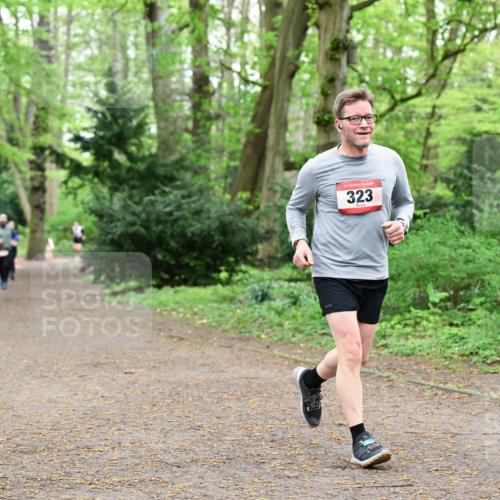 19.04.2026 - Hammer Lauf Dr. Thomas Lammeyer http://msf.ph/oto/9532069 19.04.2026 10:10:24 Laufen 323 meine-sportfotos.de