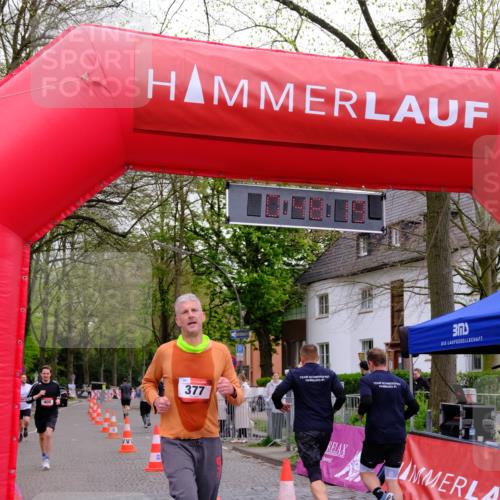 19.04.2026 - Hammer Lauf Tim E. http://msf.ph/oto/9532288 19.04.2026 10:33:27 Ziel 128, 130, 246, 377, 400, 1602, 1641 meine-sportfotos.de