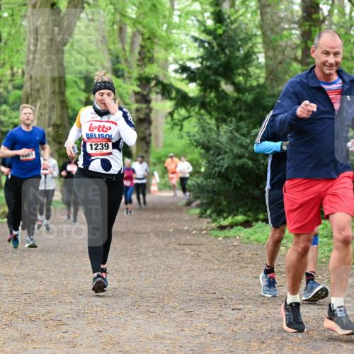 19.04.2026 - Hammer Lauf Dr. Thomas Lammeyer http://msf.ph/oto/9532375 19.04.2026 10:11:07 Laufen 1239, 1200 meine-sportfotos.de