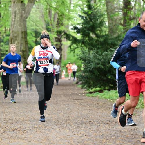 19.04.2026 - Hammer Lauf Dr. Thomas Lammeyer http://msf.ph/oto/9532380 19.04.2026 10:11:07 Laufen 081, 1239 meine-sportfotos.de