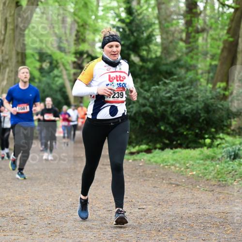 19.04.2026 - Hammer Lauf Dr. Thomas Lammeyer http://msf.ph/oto/9532388 19.04.2026 10:11:08 Laufen 1711, 1081, 239 meine-sportfotos.de