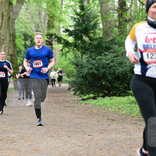 19.04.2026 - Hammer Lauf Dr. Thomas Lammeyer http://msf.ph/oto/9532395 19.04.2026 10:11:09 Laufen 1713, 1081, 1239 meine-sportfotos.de