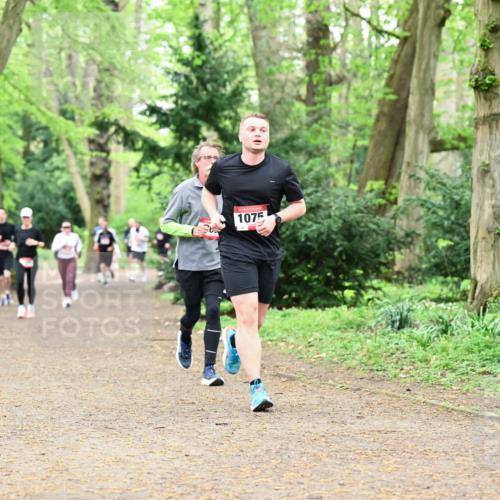 19.04.2026 - Hammer Lauf Dr. Thomas Lammeyer http://msf.ph/oto/9532556 19.04.2026 10:11:30 Laufen 1075 meine-sportfotos.de