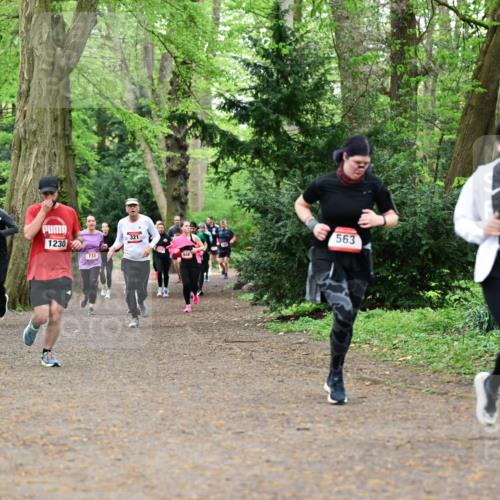 19.04.2026 - Hammer Lauf Dr. Thomas Lammeyer http://msf.ph/oto/9532761 19.04.2026 10:12:08 Laufen 1230, 733, 321, 948, 1828, 563 meine-sportfotos.de