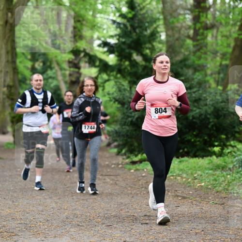 19.04.2026 - Hammer Lauf Dr. Thomas Lammeyer http://msf.ph/oto/9532962 19.04.2026 10:12:42 Laufen 1744, 804, 244 meine-sportfotos.de
