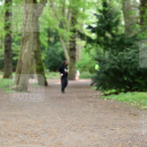 19.04.2026 - Hammer Lauf Dr. Thomas Lammeyer http://msf.ph/oto/9533319 19.04.2026 10:13:41 Laufen  meine-sportfotos.de