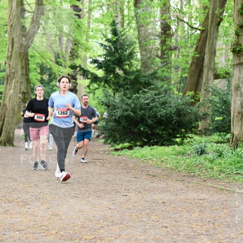 19.04.2026 - Hammer Lauf Dr. Thomas Lammeyer http://msf.ph/oto/9533603 19.04.2026 10:14:42 Laufen 888, 1262, 1266 meine-sportfotos.de