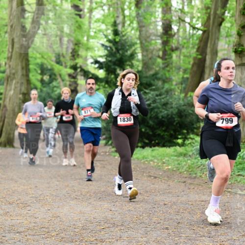 19.04.2026 - Hammer Lauf Dr. Thomas Lammeyer http://msf.ph/oto/9533719 19.04.2026 10:15:00 Laufen 871, 1830, 799 meine-sportfotos.de